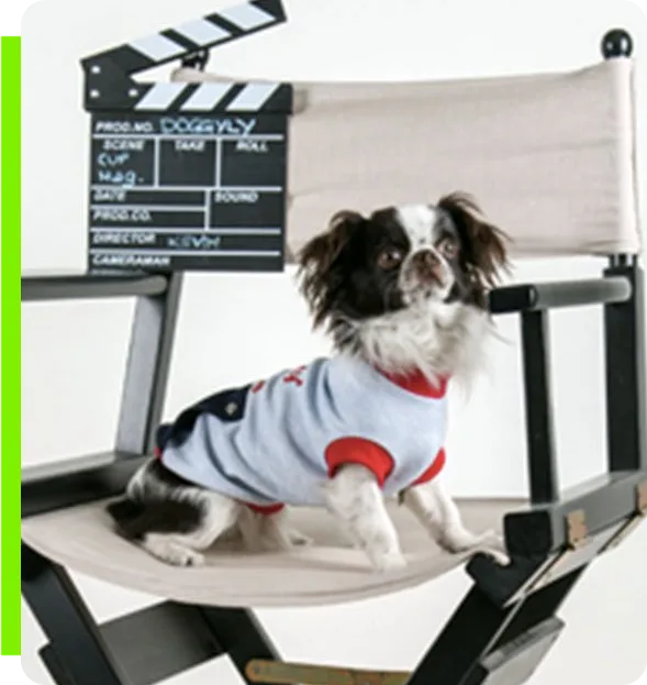 Cucce Fashion Doggyly